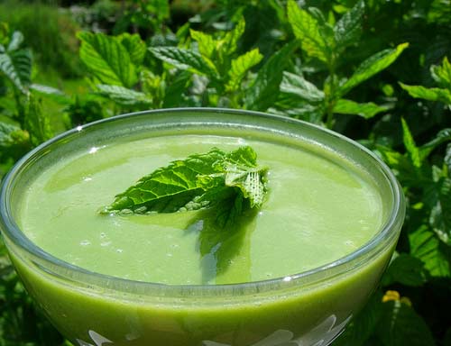 Zelené smoothie na jarní detoxikace organismu