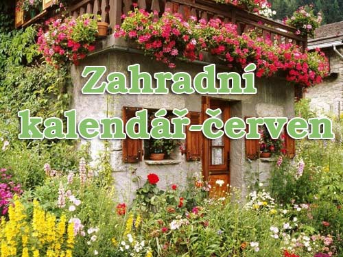 Červen na zahradě