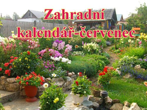 Červenec na zahradě