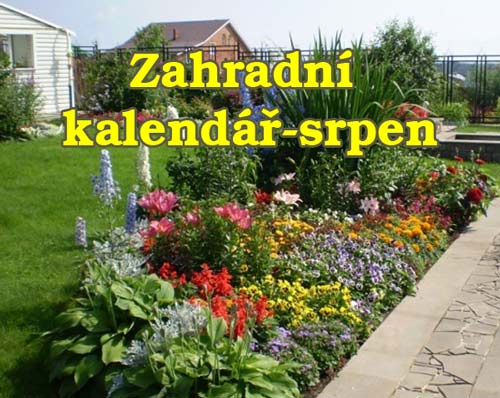 Srpen na zahradě