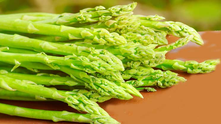 Chřest obecný (Asparagus oíficinalis)
