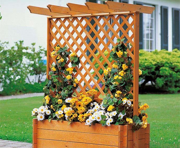 pergola