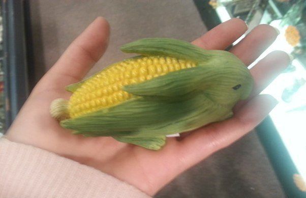 Ovoce a zelenina vtipných tvarů | Fotogalerie