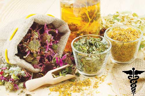 Pěstujeme léčivé rostliny