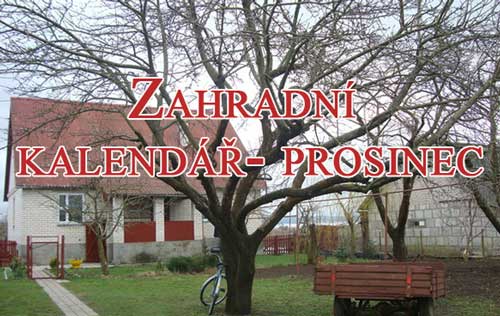 Prosinec na zahradě