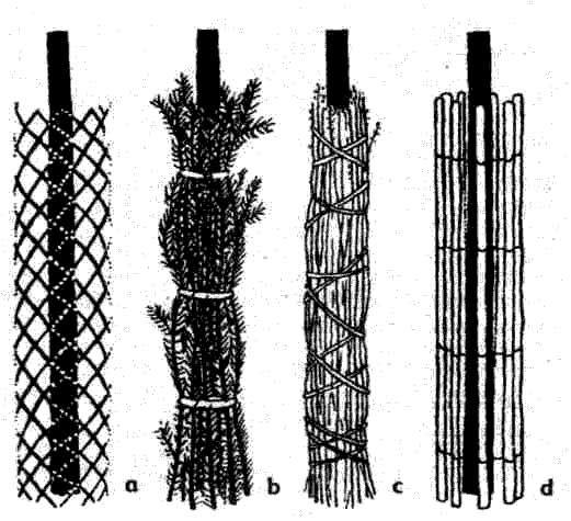 Ochrana kmene proti ohryzu zvěří: