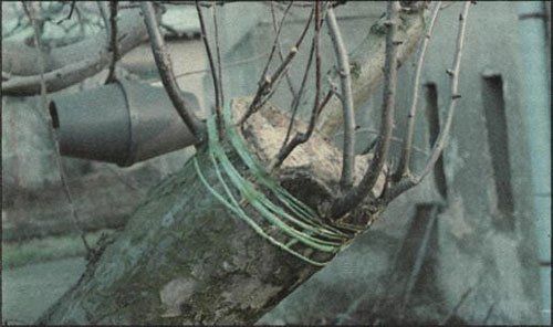 Štěpařské vosky vlastní výroby