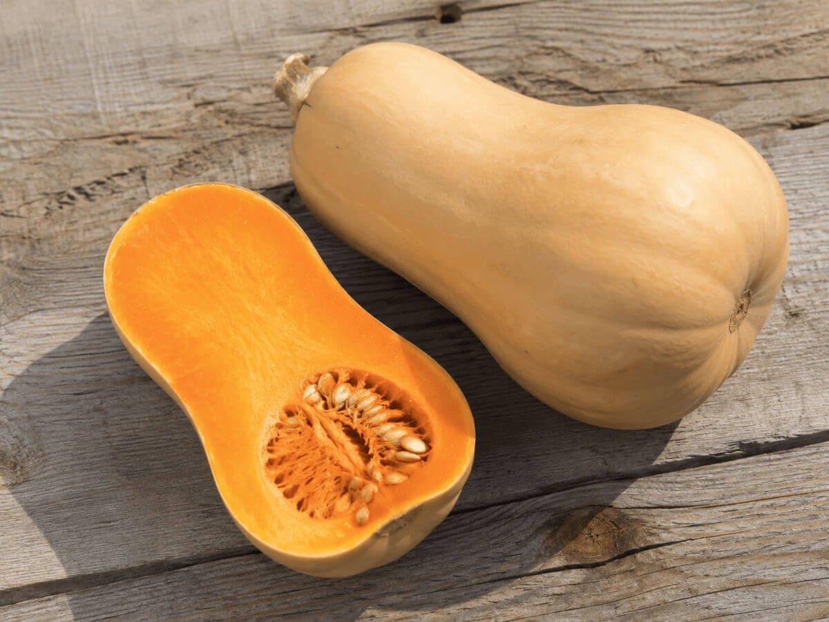 Tykev muškátová (Cucurbita moschata)